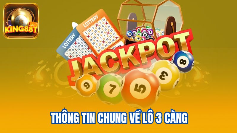 2-Thong-tin-chung-ve-lo-3-cang